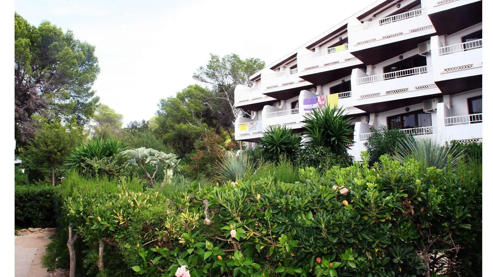 Apartamentos Del Rey بورتينانكس 0*,